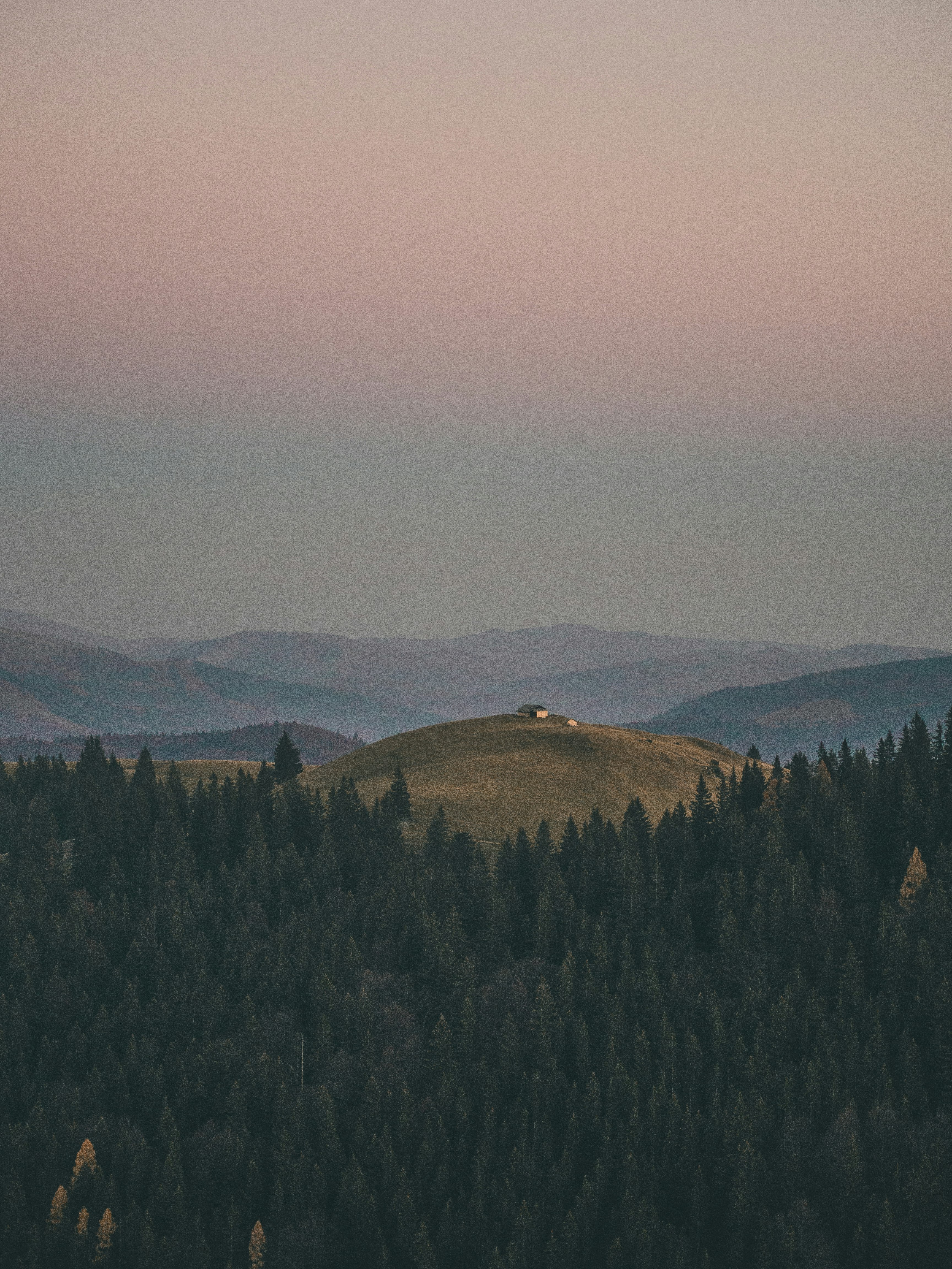 green trees on mountain under white sky during daytime